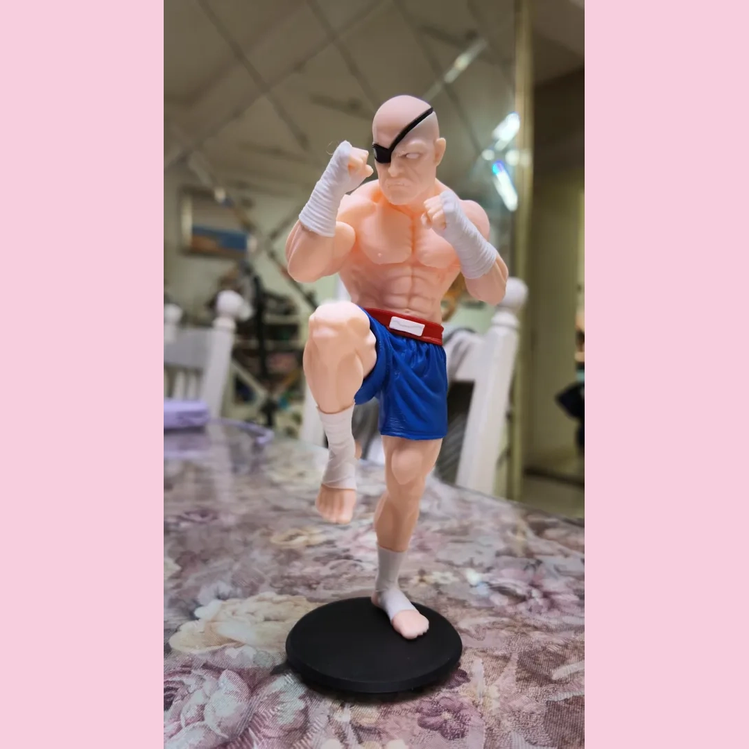 Street Fighter 3D Print Biblo 19cm Sagat