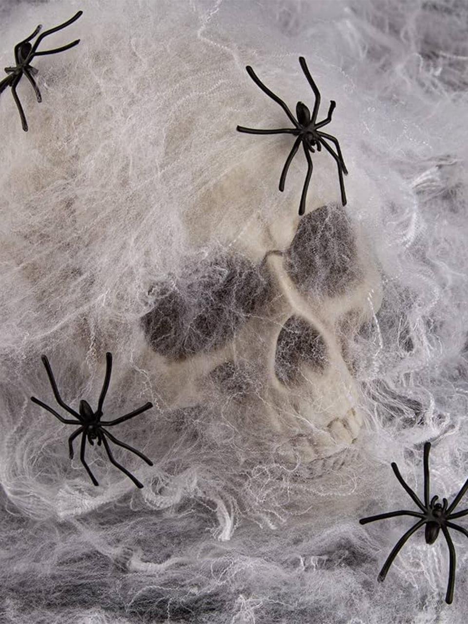 Halloween Dekoratif Örümcekli Kurukafa